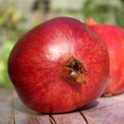 Granatapfel
